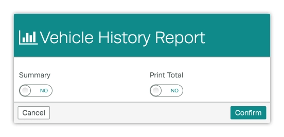 A screenshot of the Vehicle History Report Pop Up.